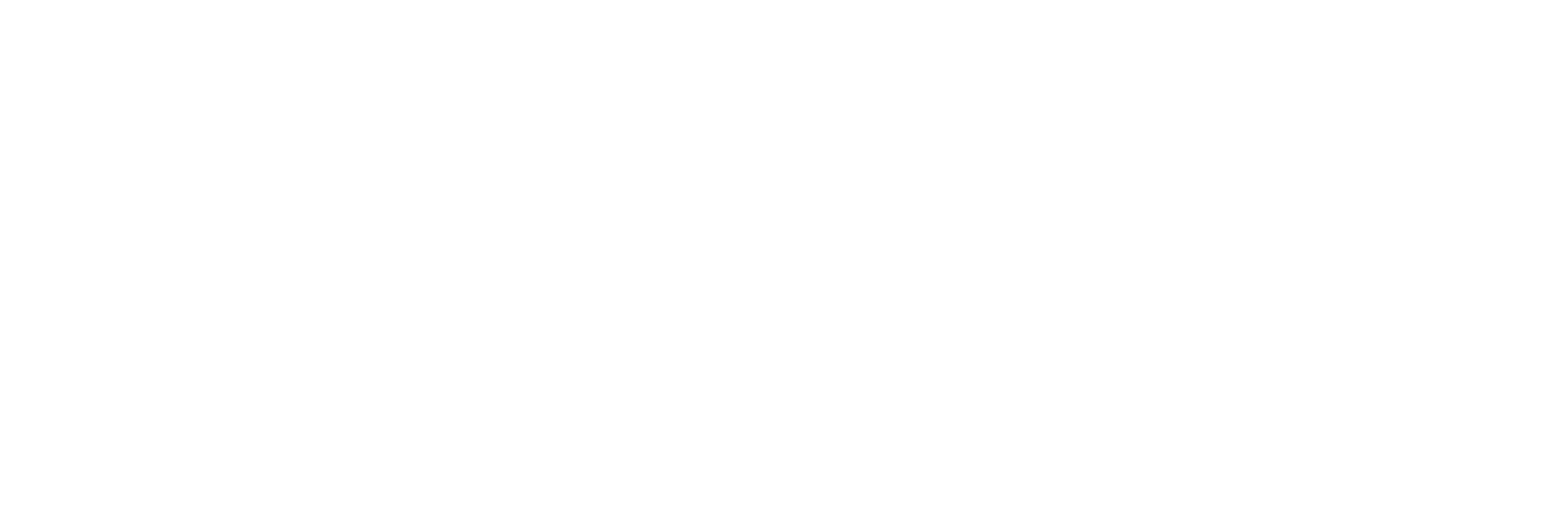 Petromax Wort Bildmarke Horizontal Weiss RGB