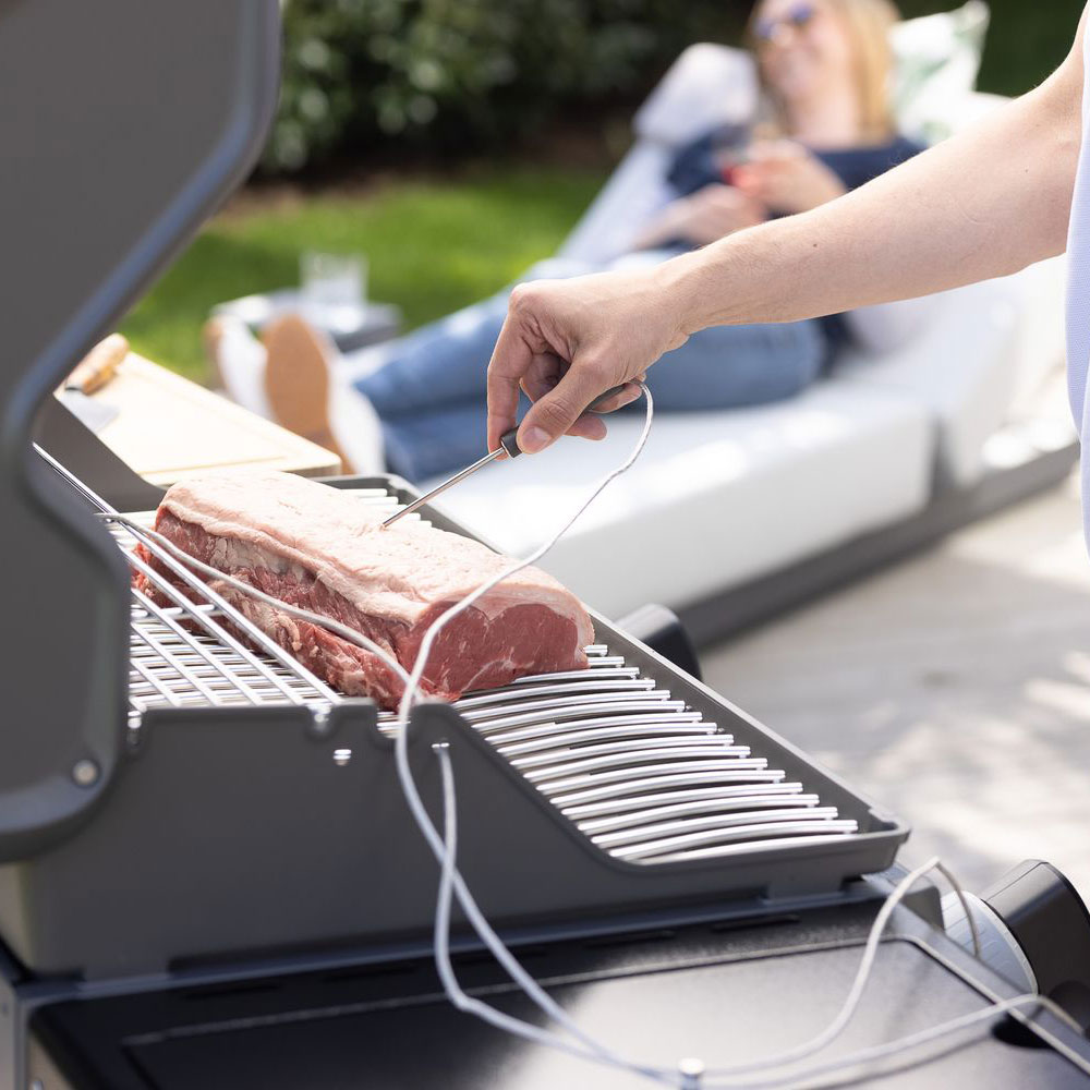 Grill Control Kerntemperatur Fuehler Fleisch